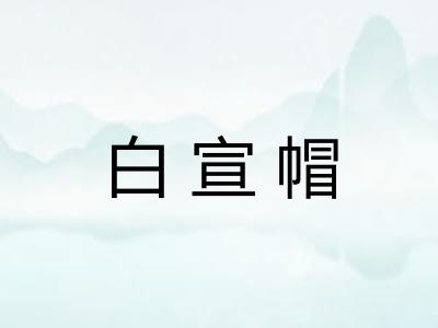 白宣帽
