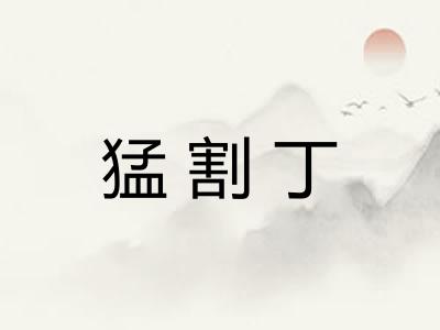 猛割丁 猛割丁
