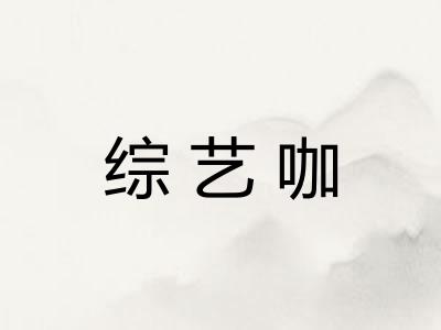 综艺咖