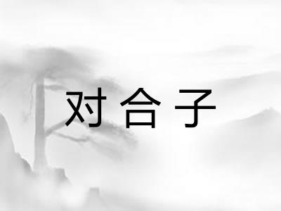 对合子 对合子