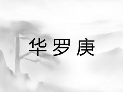华罗庚 华罗庚