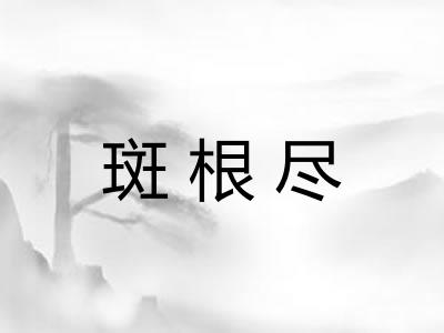 斑根尽