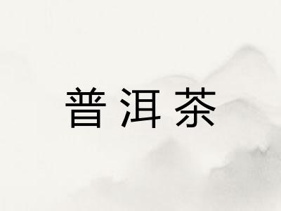普洱茶 普洱茶