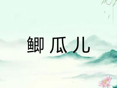 鲫瓜儿