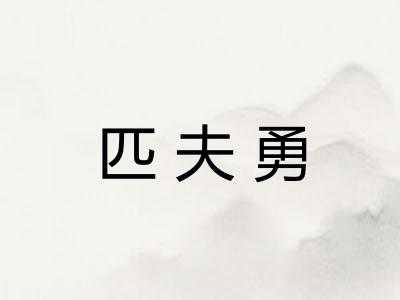 匹夫勇