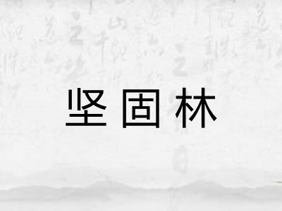 坚固林