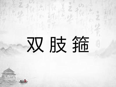 双肢箍