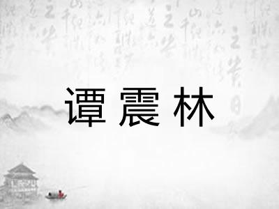 谭震林