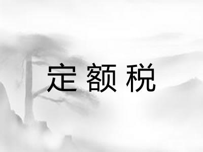 定额税