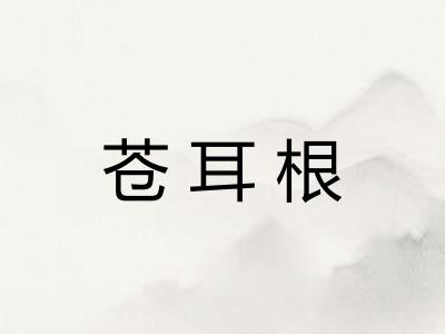 苍耳根