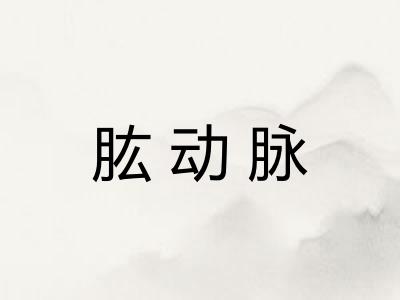 肱动脉