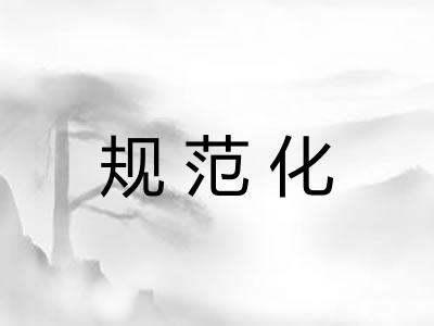 规范化