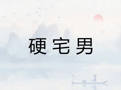 硬宅男