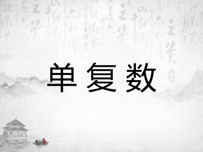 单复数