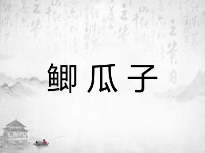 鲫瓜子