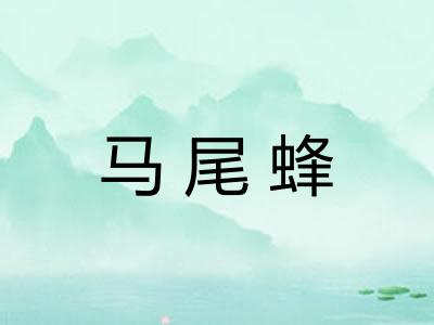 马尾蜂