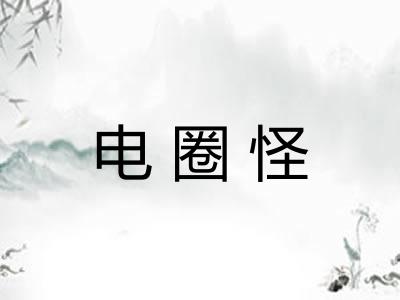 电圈怪