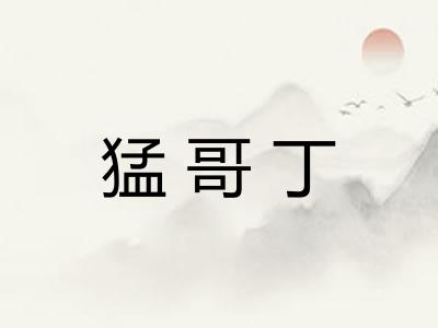 猛哥丁