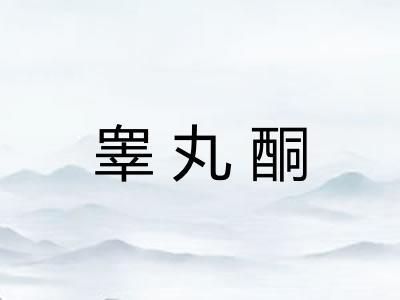睾丸酮