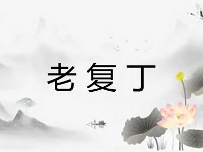 老复丁