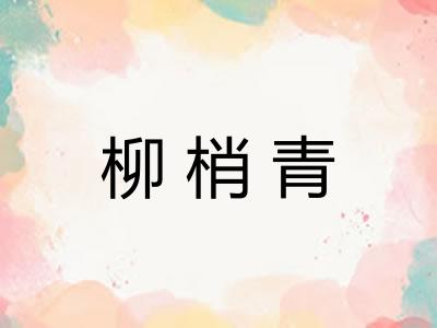 柳梢青