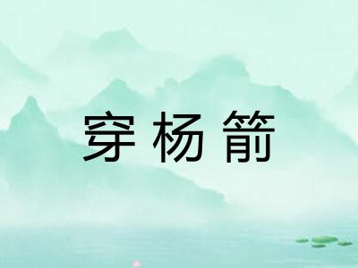 穿杨箭