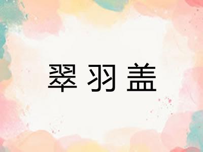 翠羽盖