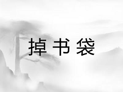 掉书袋