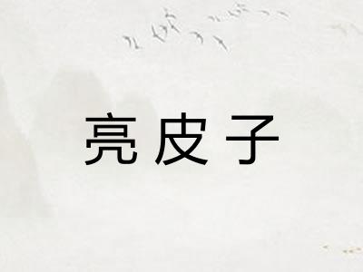 亮皮子