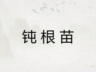 钝根苗