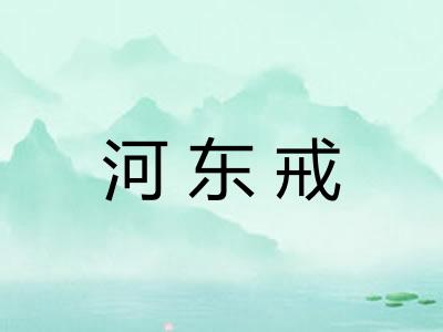 河东戒