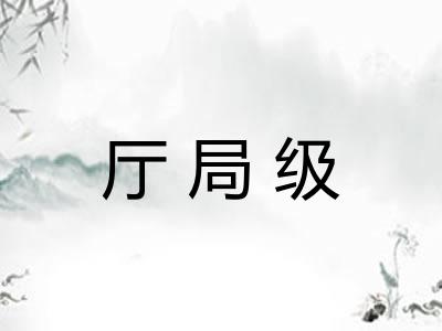 厅局级