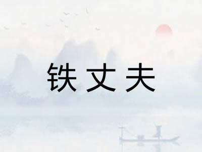 铁丈夫