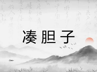 凑胆子