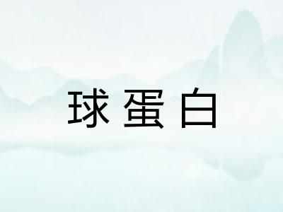 球蛋白