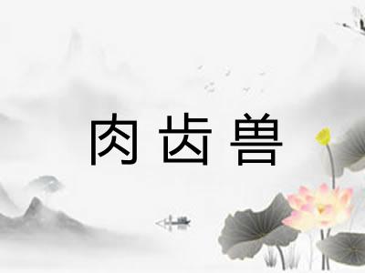 肉齿兽