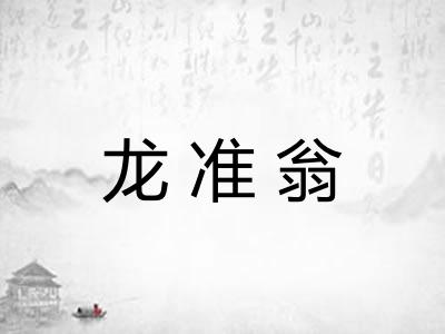 龙准翁