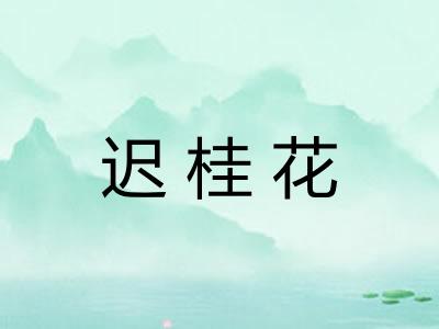 迟桂花