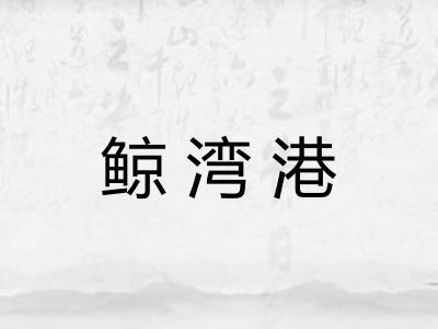 鲸湾港