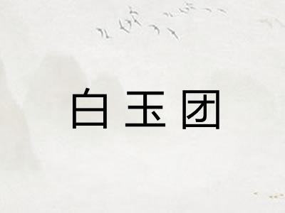 白玉团