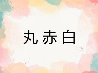 丸赤白
