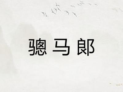 骢马郞
