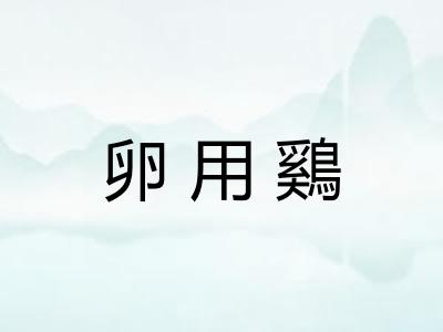 卵用鷄