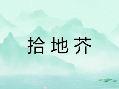 拾地芥
