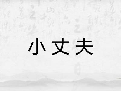 小丈夫