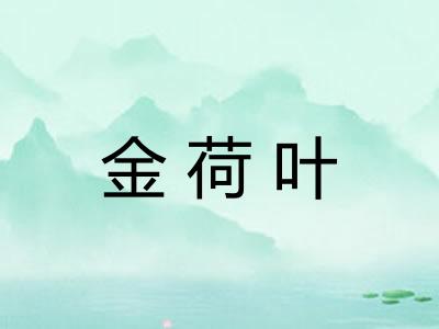金荷叶 金荷叶