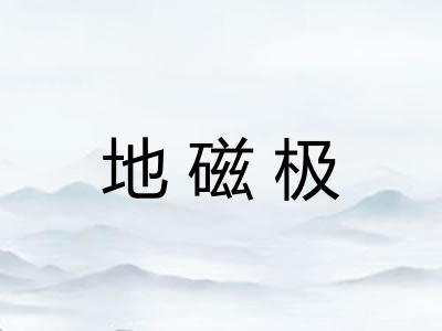 地磁极