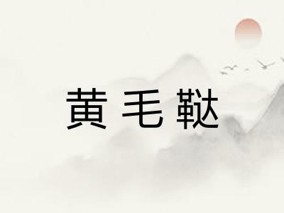 黄毛鞑