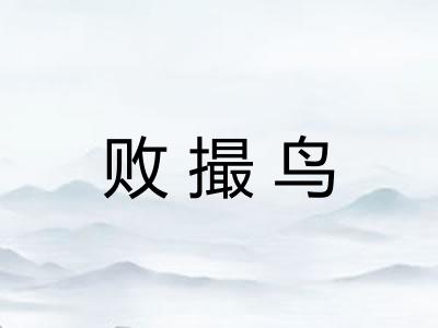 败撮鸟