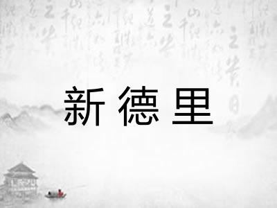 新德里 新德里